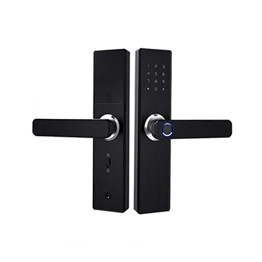JW-LOCK Smart Door Handle 204